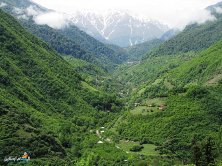 غابات 2000 و 3000 (محافظة مازندران)