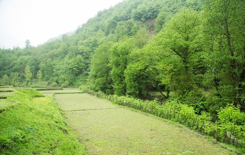 توتکابن فی شمال إيران