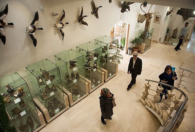 متحف دار أباد للحياة البرية