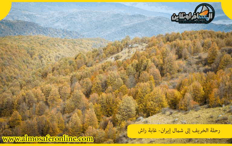 رحلة الخريف إلى شمال إيران- غابة راش