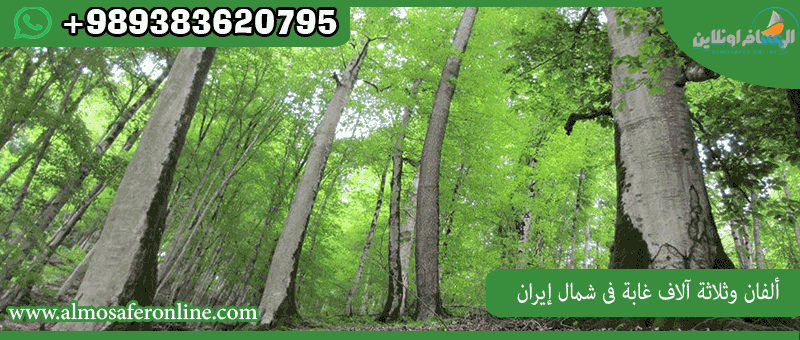 ألفان وثلاثة آلاف غابة في شمال إيران
