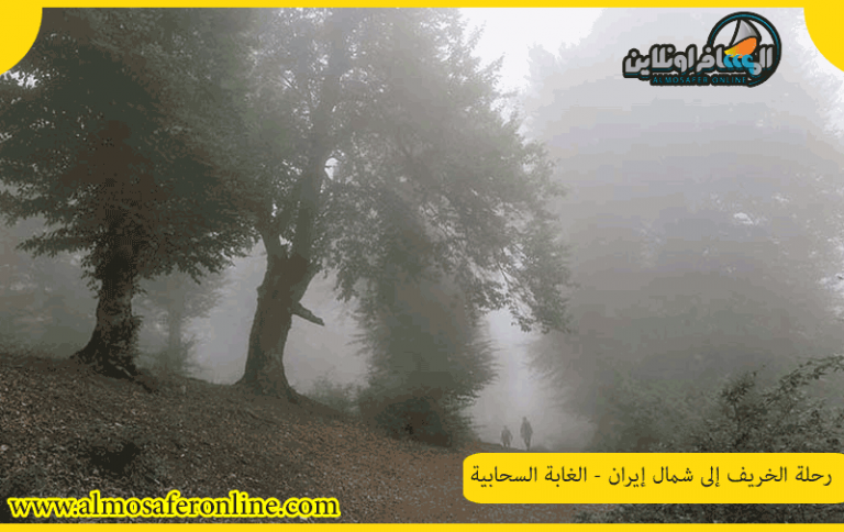 رحلة الخريف إلى شمال إيران - الغابة السحابية