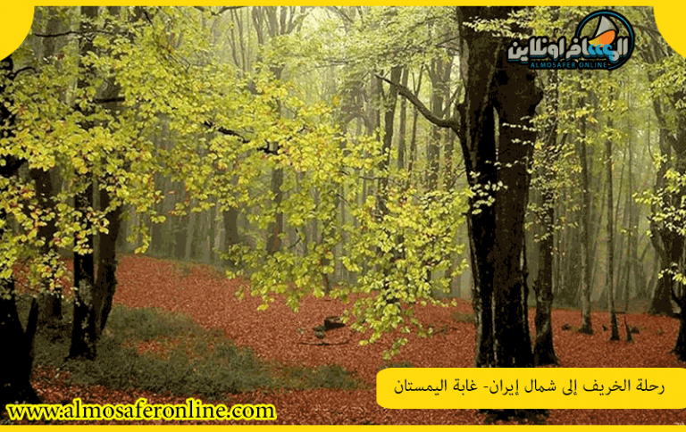 رحلة الخريف إلى شمال إيران- غابة اليمستان