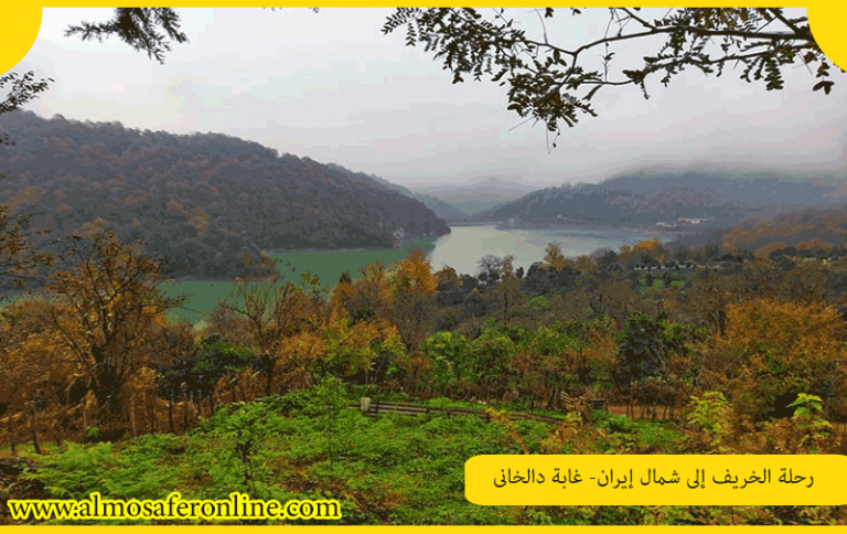 رحلة الخريف إلى شمال إيران- غابة دالخاني