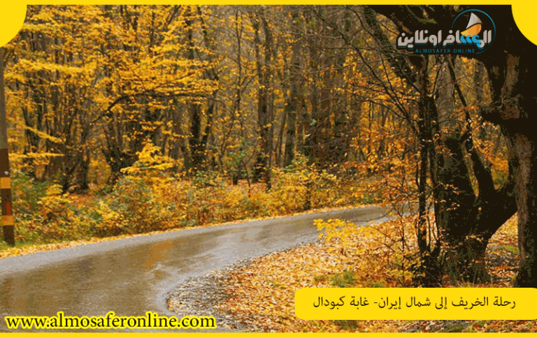 رحلة الخريف إلى شمال إيران- غابة كبودال