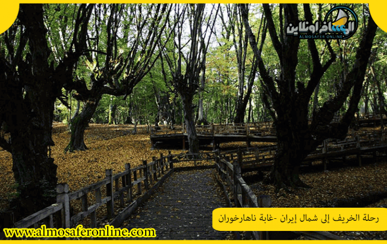 رحلة الخريف إلى شمال إيران -غابة ناهارخوران