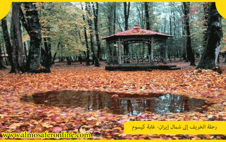 رحلة الخريف إلى شمال إيران- غابة کیسوم