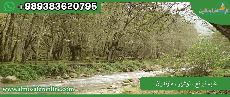 غابة نيرانغ ، نوشهر ، مازندران