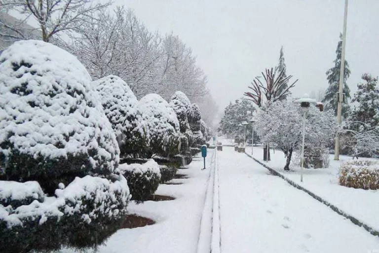 الثلج في طهران