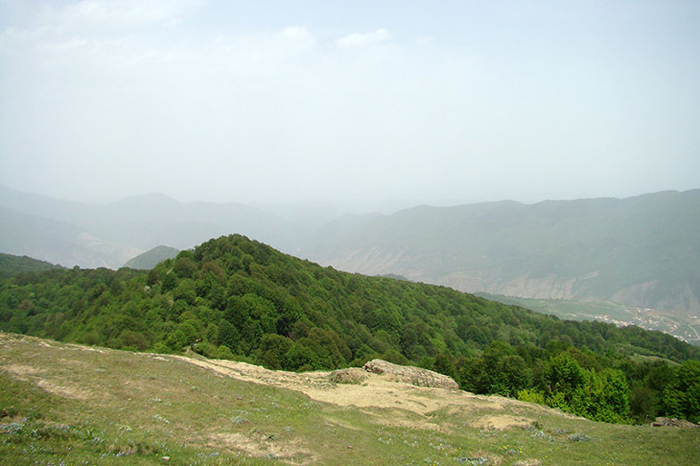 الظروف المناخية لغابة أمل عليستان