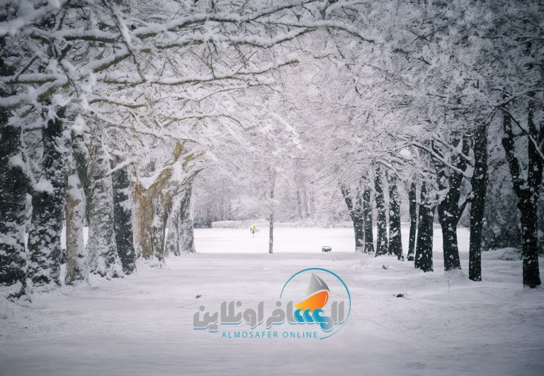 المسافر أونلاين