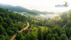 غابة مازيجال في كلاردشت