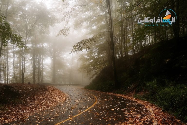 هطول الأمطار في شمال إيران