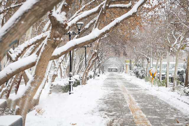 تساقط الثلوج في شیراز