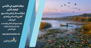 مراقبة الطيور في الأراضي الرطبة بأنزلي