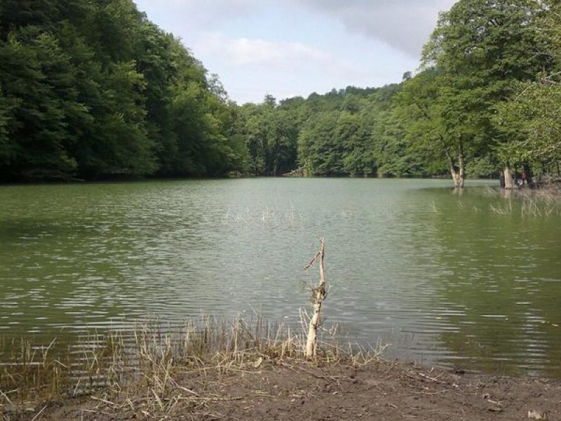 البحيرة تعد منطقة تشورت الجميلة في ساري واحدة من الأماكن الشهيرة في شمال إيران