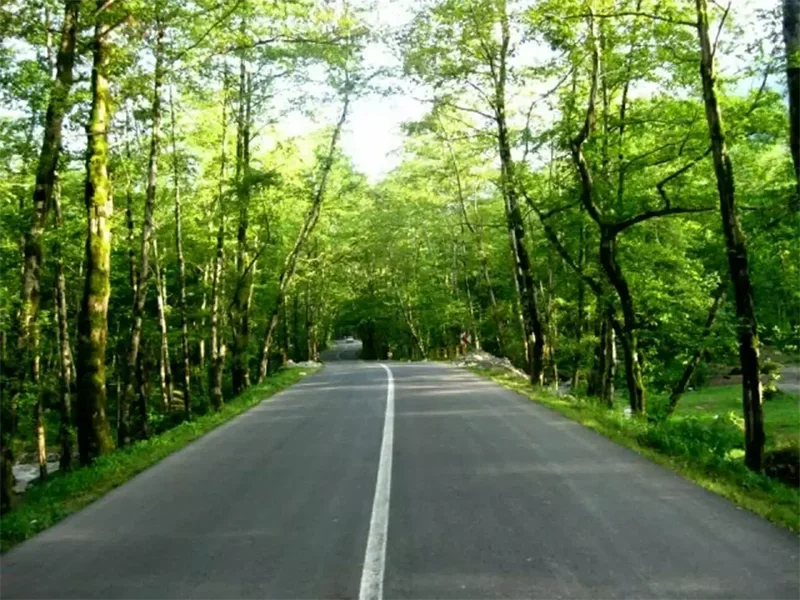 غابات 2000 شاهسوار